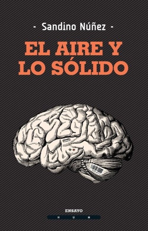 EL AIRE Y LO SOLIDO.. | Sandino Nuñez