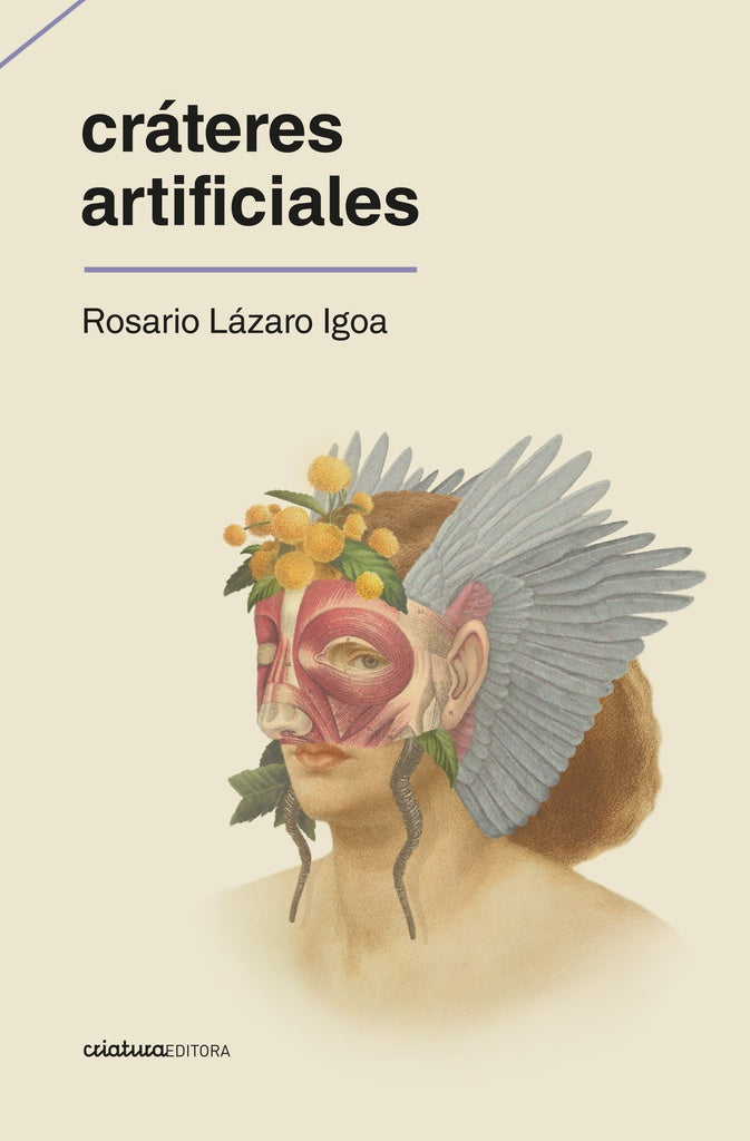 CRATERES ARTIFICIALES*.. | ROSARIO  LAZARO IGOA