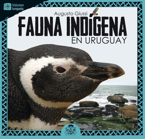 FAUNA INDIGENA EN URUGUAY. TURQUESA.. | Augusto Giussi
