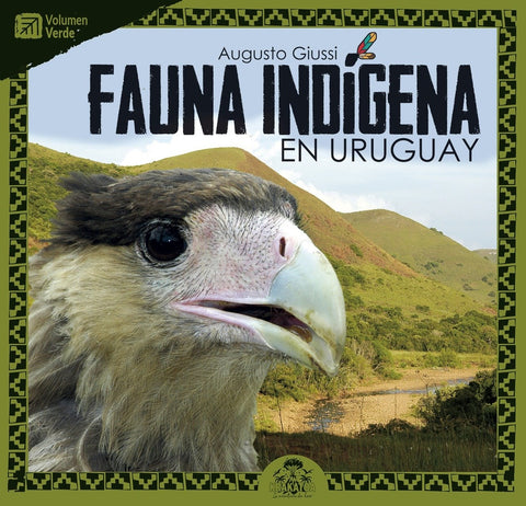 FAUNA INDIGENA EN URUGUAY. VERDE.. | Augusto Giussi
