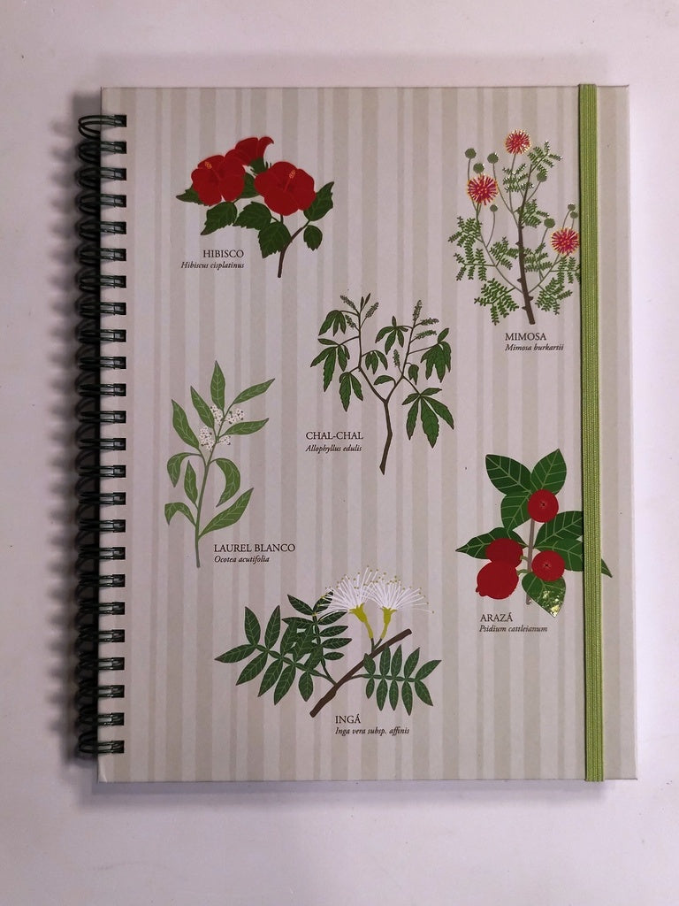 CUADERNO PLANTAS AUTÓCTONAS