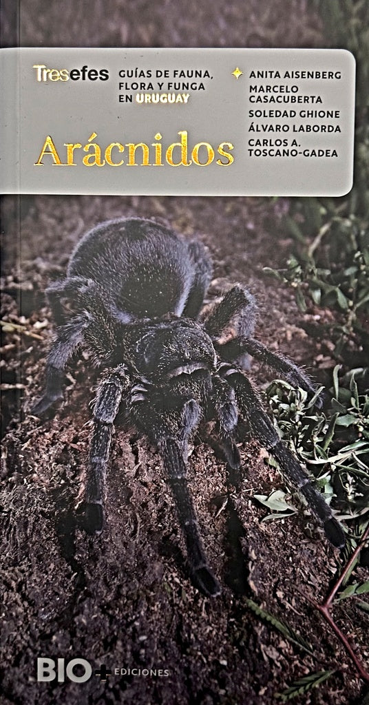 ARACNIDOS.. | Anita  Aisenberg