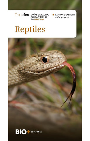 REPTILESGUIAS DE FLORA, FAUNA Y FUNGA EN URUGUAY | SANTIAGO CARREIRA