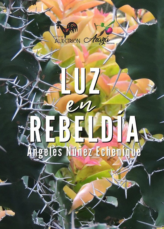 Luz en rebeldía | Ángeles Núñez Echenique