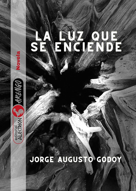 La luz que se enciende | Jorge Augusto Godoy