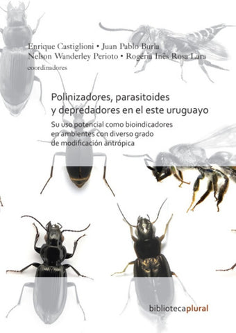 Polinizadores, parasitoides y depredadores en el este uruguayo | Castiglioni, Burla