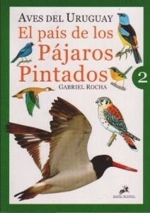 EL PAIS DE LOS PAJAROS PINTADOS 1 | Gabriel Rocha