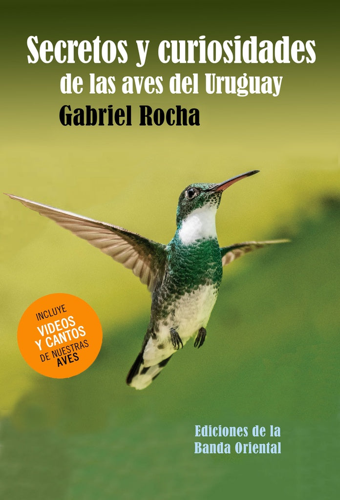 SECRETOS Y CURIOSIDADES DE LAS AVES DEL URUGUAY | Gabriel Rocha