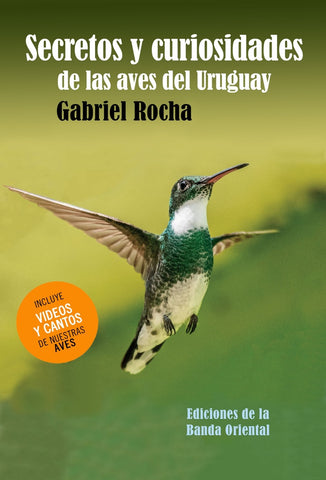 SECRETOS Y CURIOSIDADES DE LAS AVES DEL URUGUAY | Gabriel Rocha