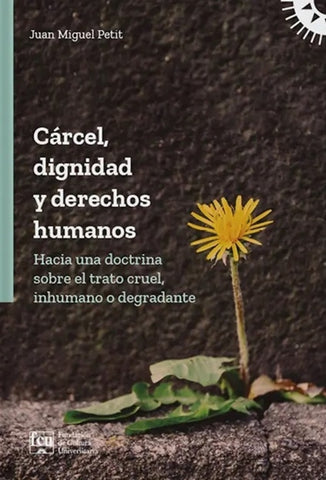 CÁRCEL, DIGNIDAD Y DERECHOS HUMANOS.. | Juan Miguel  Petit