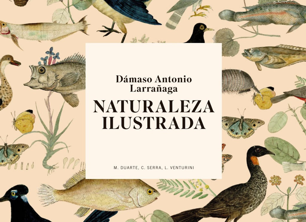 DAMASO ANTONIO LARRAÑAGA. NATURALEZA ILUSTRADA.. | MARIANA DUARTE