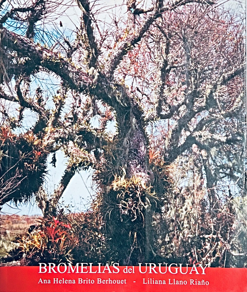 BROMELIAS DEL URUGUAY.. | ANA HELENA BRITO
