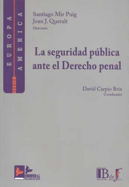 La seguridad pública ante el Derecho penal