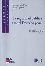 La seguridad pública ante el Derecho penal