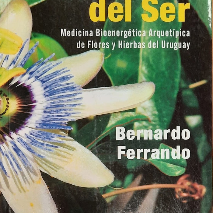 Una medicina del ser | BERNARDO FERRANDO