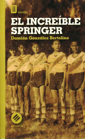El increible Springer | DAMIAN GONZALEZ BERTOLINO