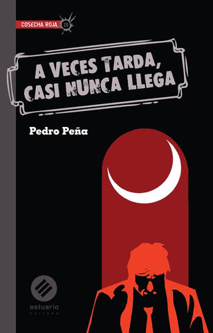 A veces tarda, casi nunca llega | PEDRO  PEÑA
