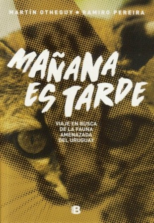 MAÑANA ES TARDE  | Martín  Otheguy