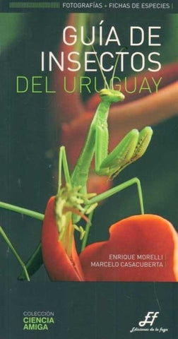 GUIA DE INSECTOS DEL URUGUAY* | Enrique Morelli