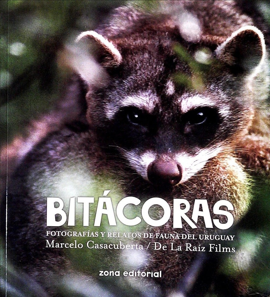 BITACORAS* | Marcelo Casacuberta