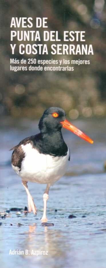 AVES PUNTA DEL ESTE Y COSTA SERRANA  |  ADRIAN  AZPIROZ