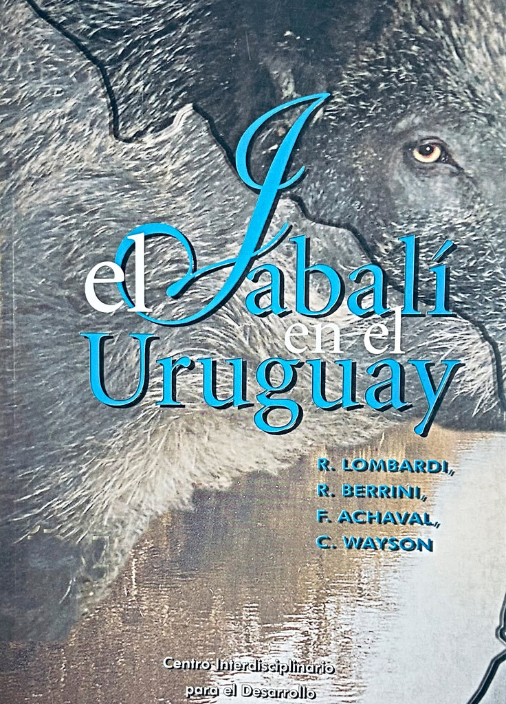 EL JABALI EN EL URUGUAY.. | LOMBARDI