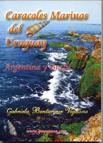 CARACOLES MARINOS DEL URUGUAY - ARGENTINA - BRASIL.. | Gabriela Bentancur Viglione
