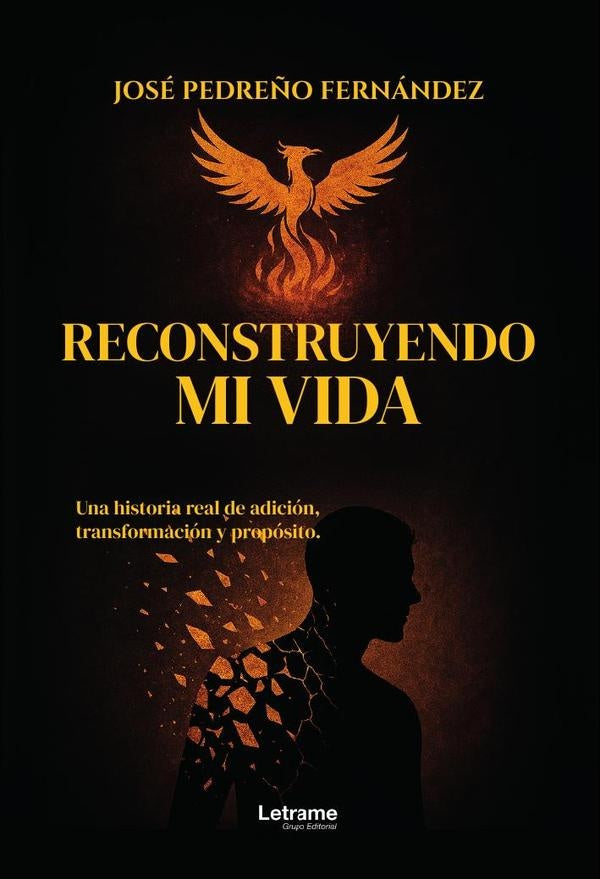 Reconstruyendo mi vida | JOSÉ  PEDREÑO FERNÁNDEZ