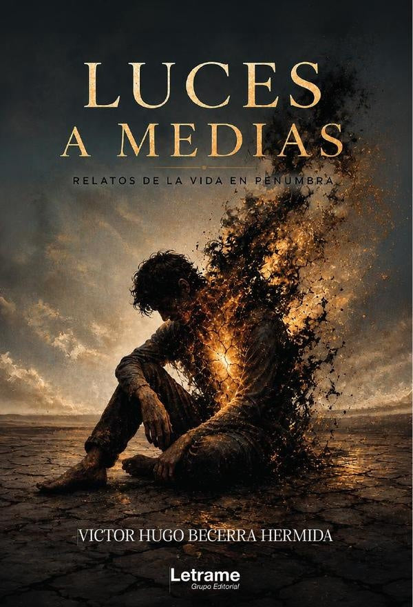 Luces a medias | VICTOR HUGO  BECERRA HERMIDA