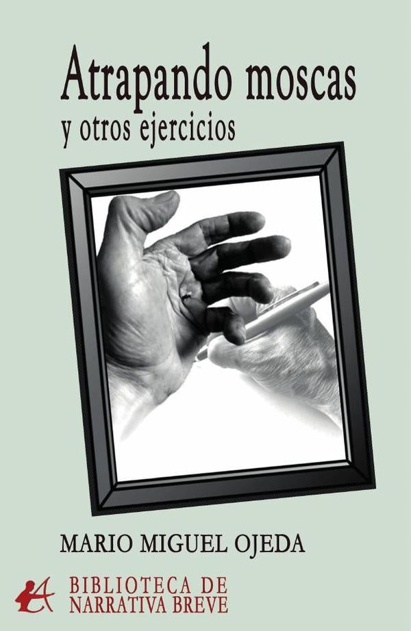 Atrapando moscas y otros ejercicios | Mario Miguel Ojeda