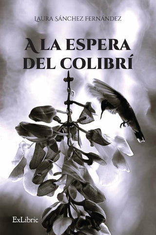 A la espera del colibrí | Laura Sánchez Fernández