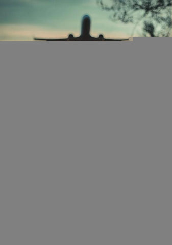 Sí a la vida, a todas ellas | Ana Barrantes Navajas