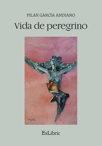 Vida de peregrino | Pilar García Andiano