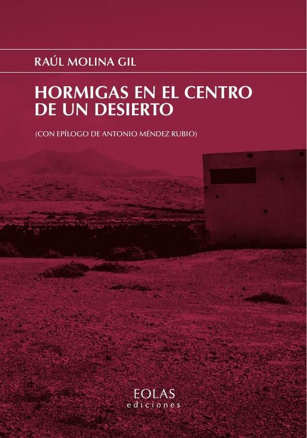 Hormigas en el centro de un desierto | Raúl Molina Gil