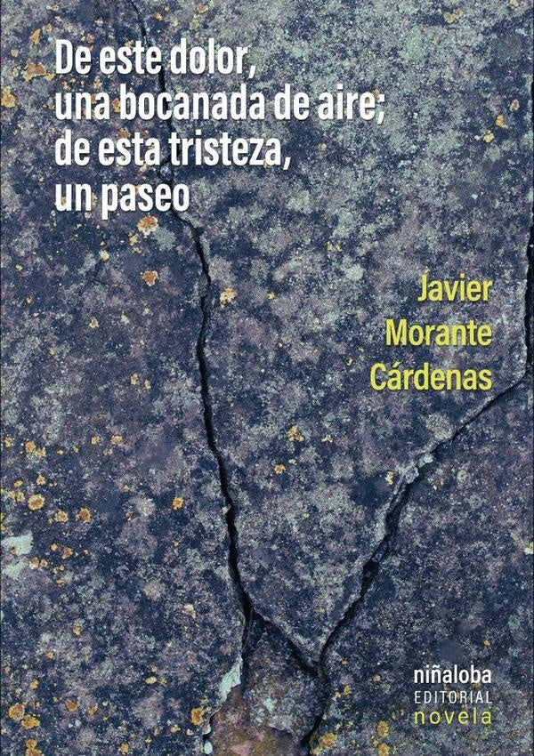 De este dolor, una bocanada de aire; de esta tristeza, un paseo | Javier Morante Cárdenas