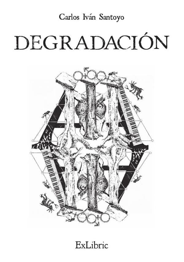 Degradación | Carlos Iván Santoyo
