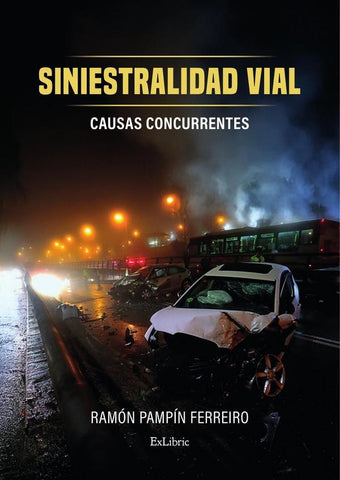 Siniestralidad vial. Causas concurrentes | Ramón Pampín Ferreiro