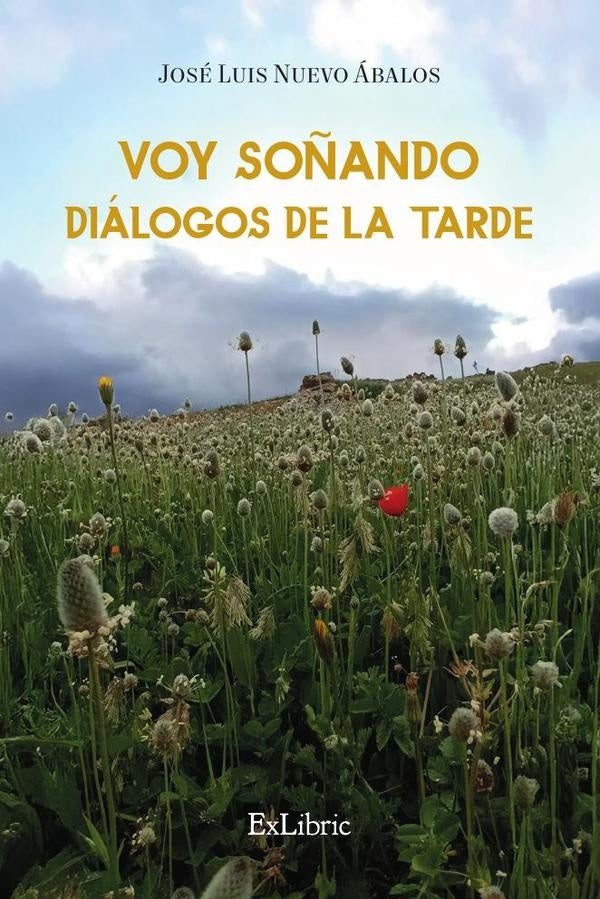 Voy soñando diálogos de la tarde | José Luis Nuevo Ábalos