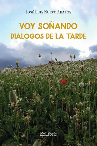 Voy soñando diálogos de la tarde | José Luis Nuevo Ábalos