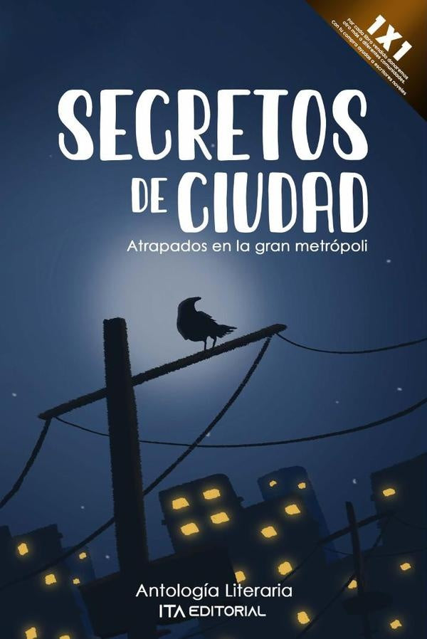 Secretos de ciudad | ITA Autores Varios