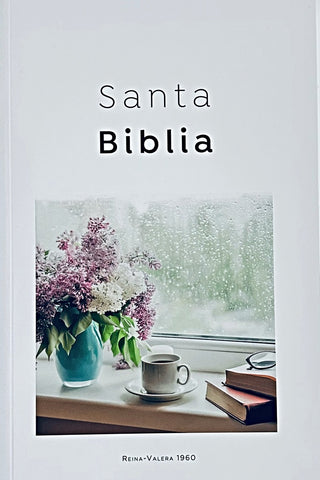 BIBLIA REINA VALERA 1960 BLANCA..