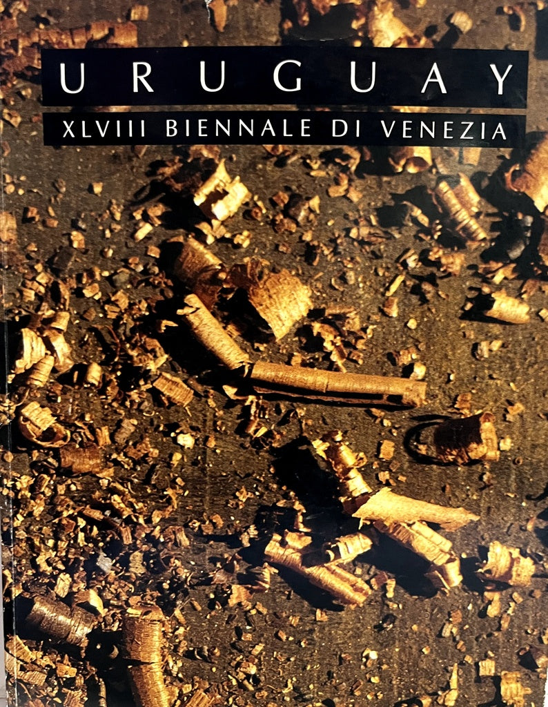 XLIV BIENNALE DI VENEZIA URUGUAY  | Gonzalo Fonseca