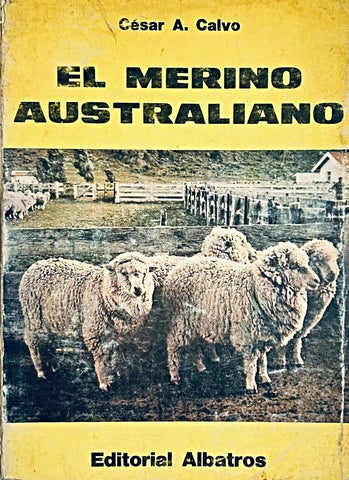 EL MERINO AUSTRALIANO.. | CESAR CALVO