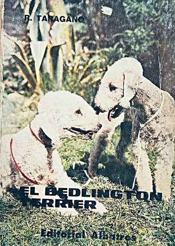 EL BEDLINGTON TERRIER.. | Rosa Taragano de Azar
