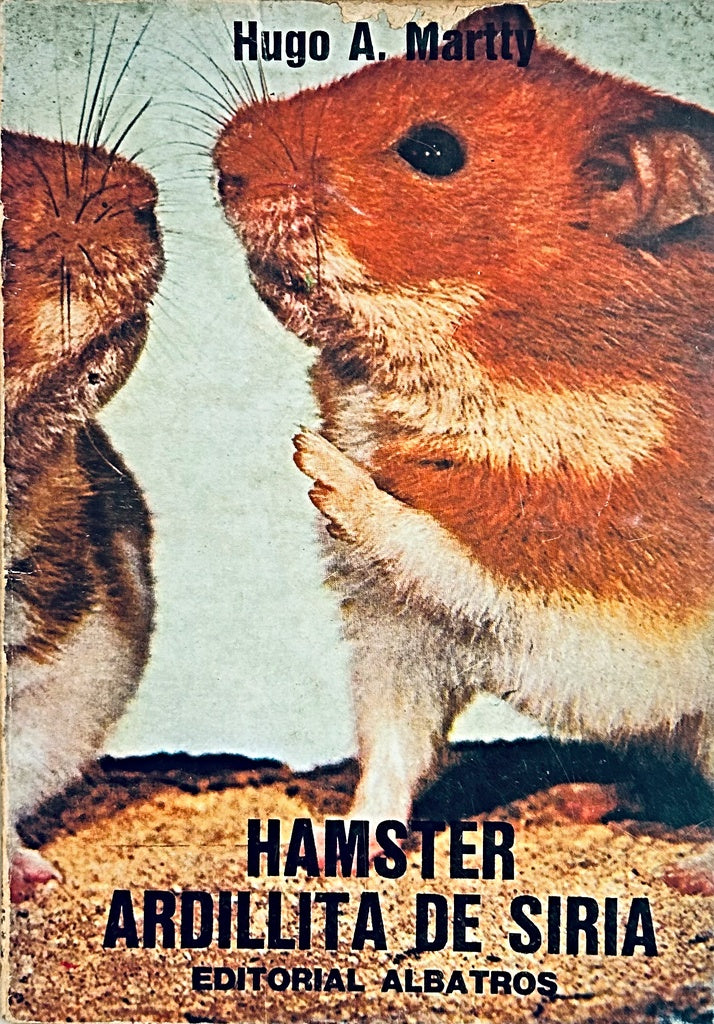 HAMSTER ARDILLITA DE SIRIA.. | Hugo Martty