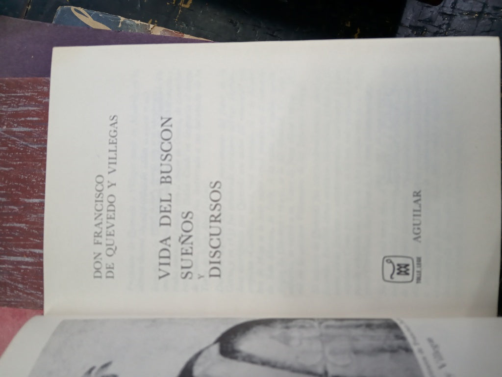 VIDA DEL BUSCÒN. SUEÑOS Y DISCURSOS | Francisco De Quevedo