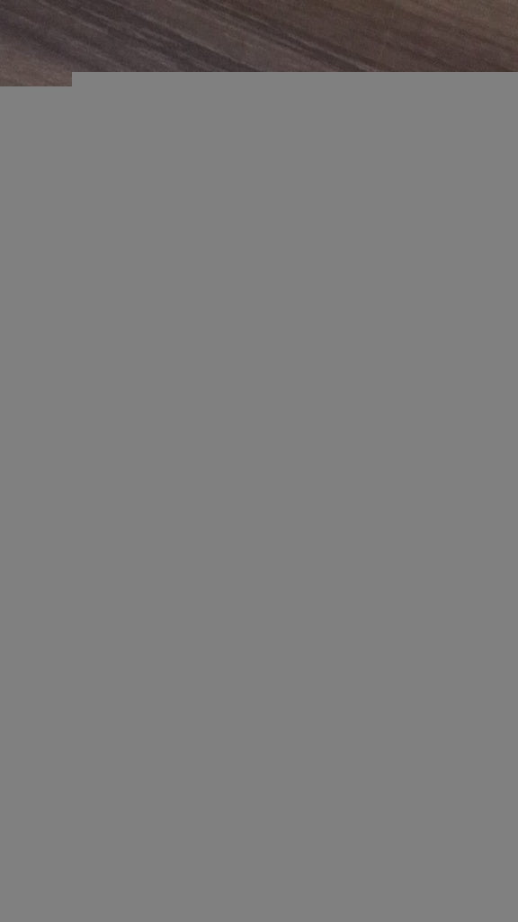 THE BUENOS AIRES AFFAIR | Manuel Puig