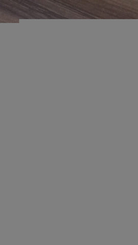 THE BUENOS AIRES AFFAIR | Manuel Puig