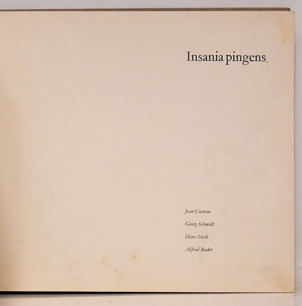 INSANIA PINGENS | VV AA Varios Autores