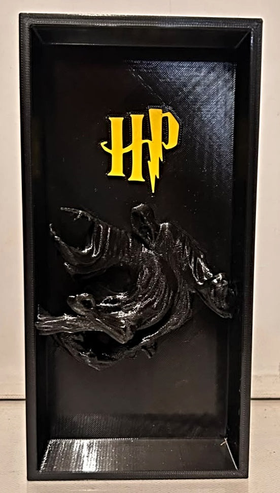 ORGANIZADOR LIBROS  HARRY POTTER 3D